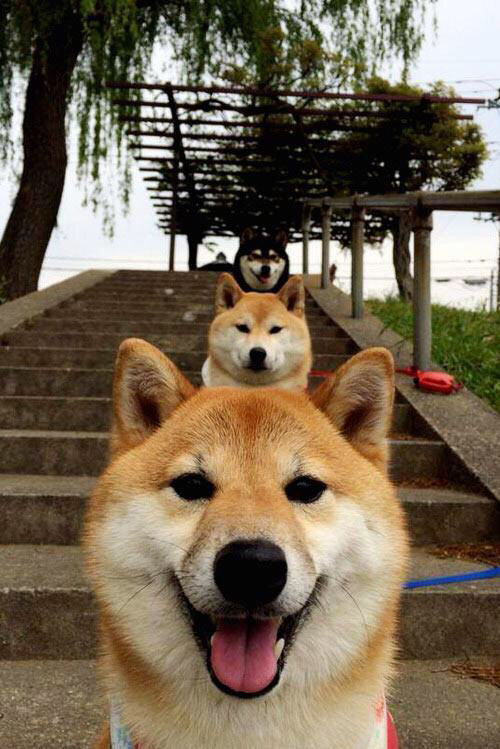 爵士轻取黄蜂锁定胜局，哈登末节关键球奠定胜势